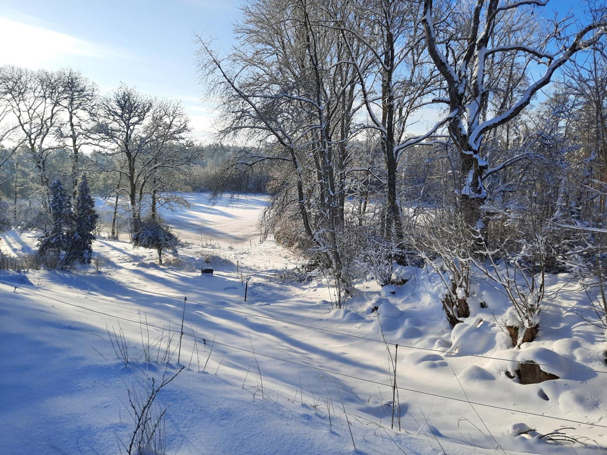 Sjoetorps Saeteris Bed & Breakfast Flygeln Larv Dış mekan fotoğraf
